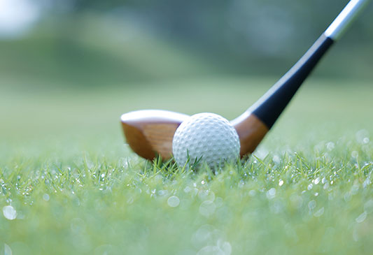 ゴルフ5カントリーオークビレッヂ コース風景2